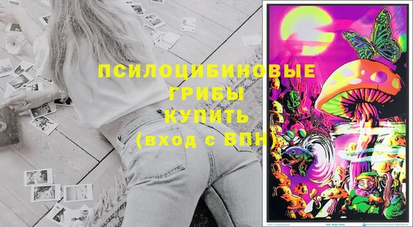 кокаин Дмитриев