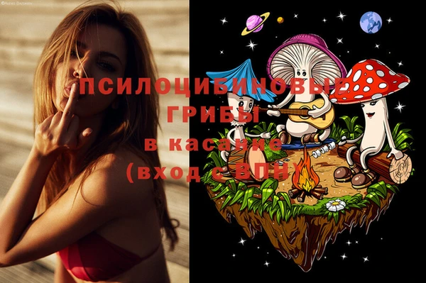 кокаин Дмитриев