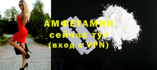 амф Гусь-Хрустальный