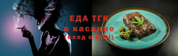 амф Гусь-Хрустальный