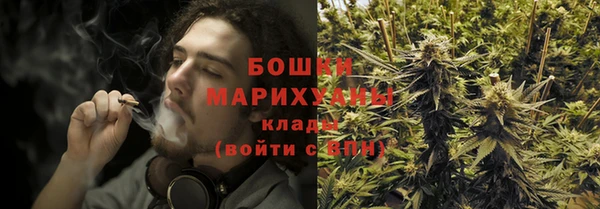 амф Гусь-Хрустальный