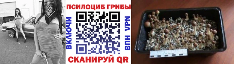 как найти наркотики  нарко площадка Telegram  Галлюциногенные грибы MAGIC MUSHROOMS  Лодейное Поле 